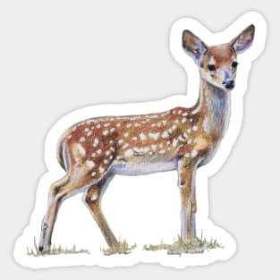 Fawn drawing (no background) Sticker